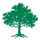 Tree Icon PNG