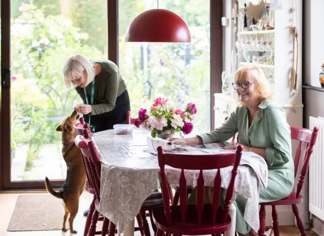 A care professional assisting a senior with daily tasks as part of a care needs assessment evaluation Homecare in Bournemouth