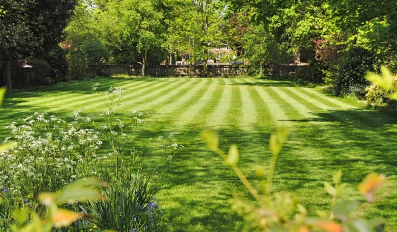 10 summer activities that are fun and safe for older adults