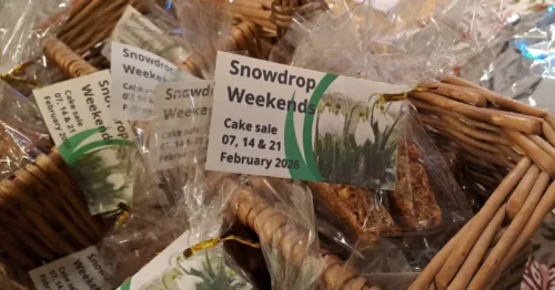 South Oxfordshire: Snowdrops, community and supporting Swyncombe Church Image