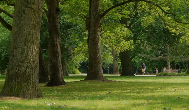 Accessible Parks - South Glasgow