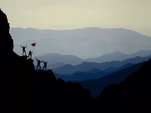 Challenging the Traditional Home Care Brands Image